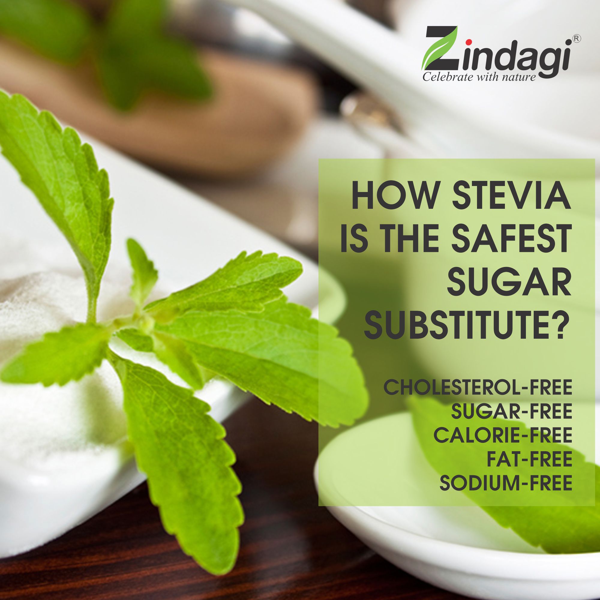 How Stevia is the Safest Sugar Substitute? Zindagi Celebrate With