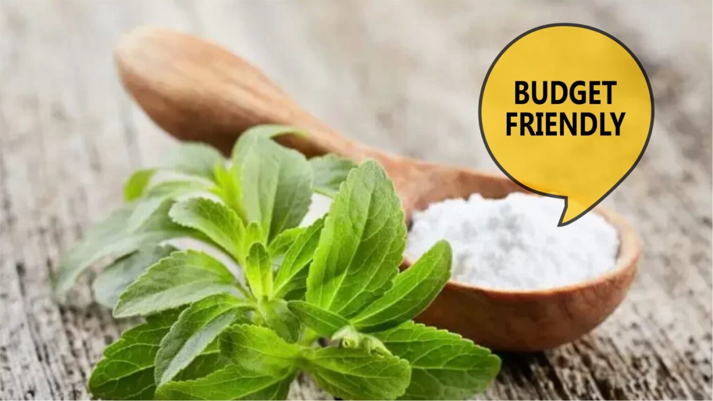 Budget friendly stevia products , Zindagi stevia Powder , liquid , tablets 